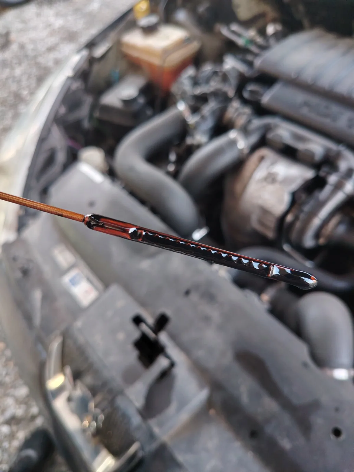 Vodič za zamenu ulja i filtera u automobilu